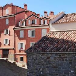 Trieste scenez