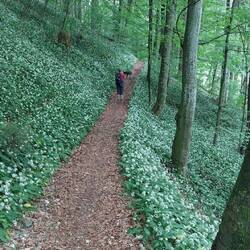 Wiedermal solche Wege.....