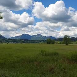 Auf vielfachen Wunsch!☝️😁