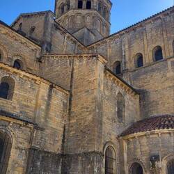 Basilikum du sacré-Coer