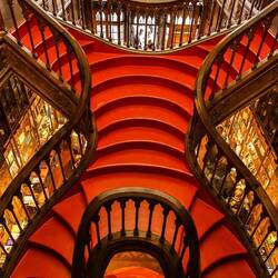 Buchhandlung Lello, oberer Teil der Treppe von oben