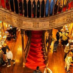 Buchhandlung Lello, Treppe unten von oben