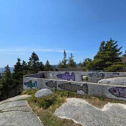 Fish, featuring the beginning of Polly's Cove hike