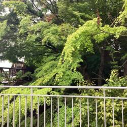 Endlich ein Smoking Place im Freien