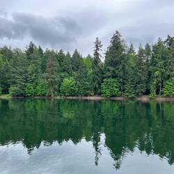 Eastern side of Andrew's Bay.