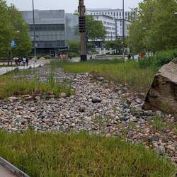 This land once had an Indian School on it