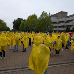 Minions getting ready for pictures