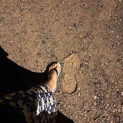 Bigfoot in den USA?!
