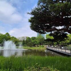 im Seoul forest