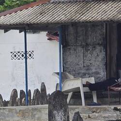 Friedhofswächter in Hängematte!!!