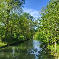 Dieses Bächle muss sich in Sachen Spiegelung nicht vor einem Bergsee verstecken