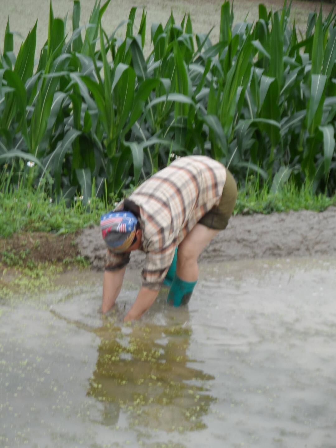 remonter les diguettes