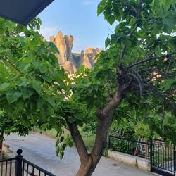 View from our balcony. The tree has been strategically pruned.