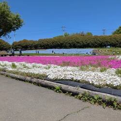 Un arc en ciel tricolore 🌈