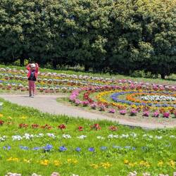 Je suis un 🐱 chat