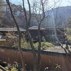 Le onsen dans la nature