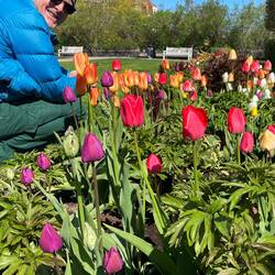 Helsinki spring