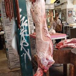 Das arme Schaf🐑🐏