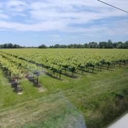 The scenery changes to flat farmland and vineyards of the Veneto