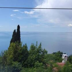 Leaving Trieste
