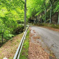 Super twisty two way road, wide enough for 1 vehicle ☝️