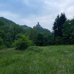 Blick auf die Ehrenburg