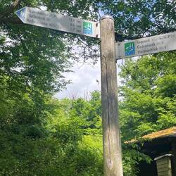 Die letzten Kilometer