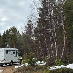 Alta: sosta serale nel bosco