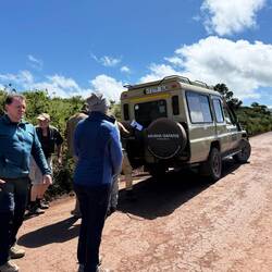...und wir erhalten Asyl in einem anderen Auto...