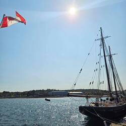 The Bluenose II