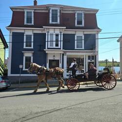 Someone had a carriage ride!