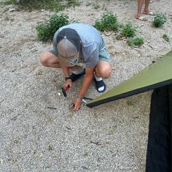 Mit die beste Investition auf der Tour: Der Hammer vom Tedi für 3€.