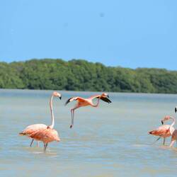 Und hier der Landeanflug