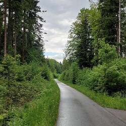 So beginnt die zweite Hälfte.