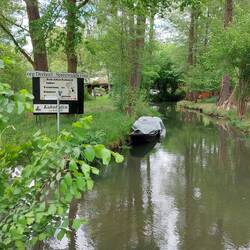 Hollywood is everywhere