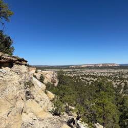 Up on the mesa...