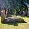 Viking grave!