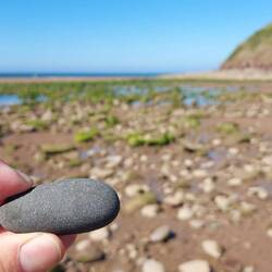 Der soll nach 300 km in die Nordsee