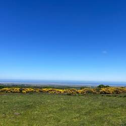 Ocean and sands in the distance