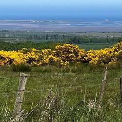 Holy Island is out there (Lindisfarne)