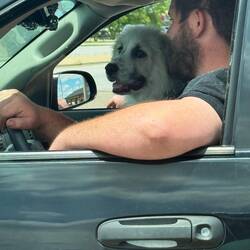 Ich mag die Amis einfach ... wieder alle soo nett und etwas crazy