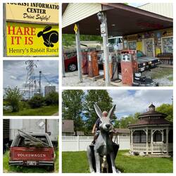Die Rabbit-Ranch vom verstorbenen Henry