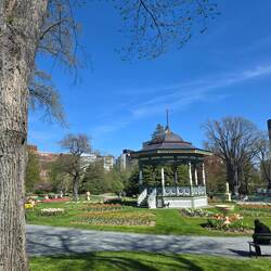 Gazebo and flowers!!