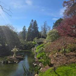 The creek in the gardens