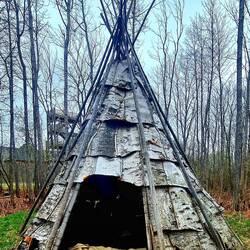 Birken-Rinden Tipi