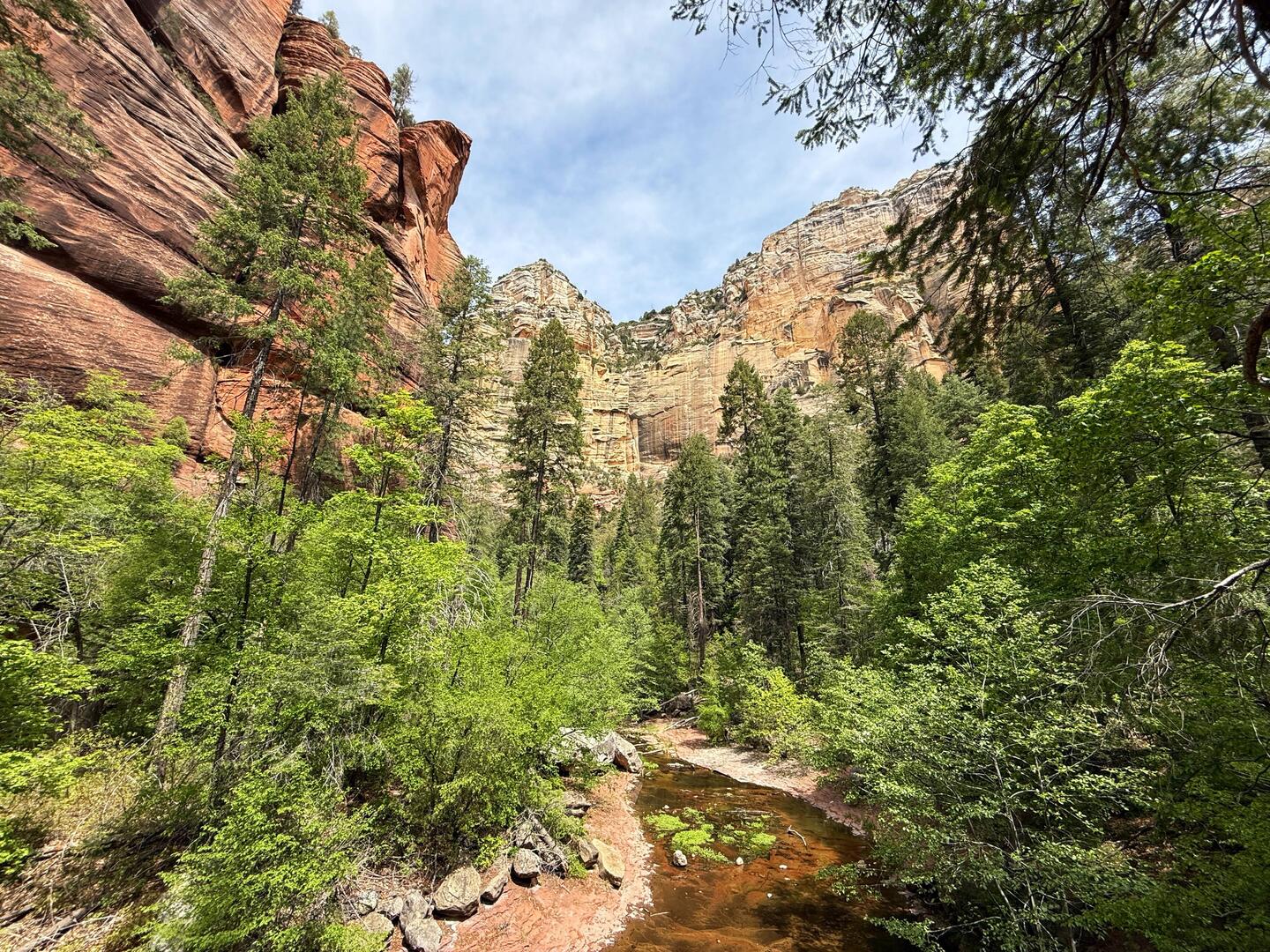 Oak creek