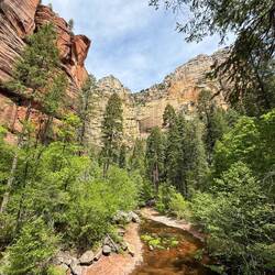 Oak creek