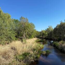 Oak Creek in Red Rock SP