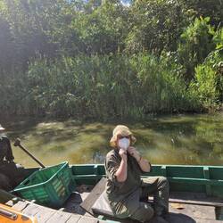 The rainforest feeding experience