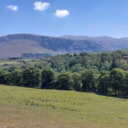 View en route